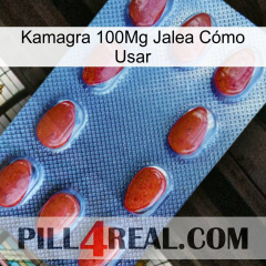 Kamagra 100Mg Jalea Cómo Usar 06